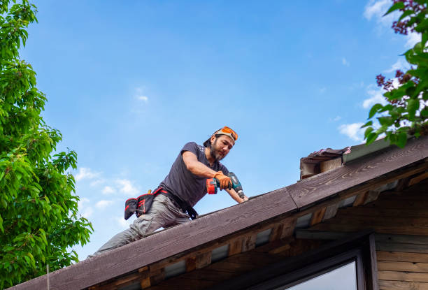 Best Gutter Installation and Repair  in Loudoun Lley Estates, VA