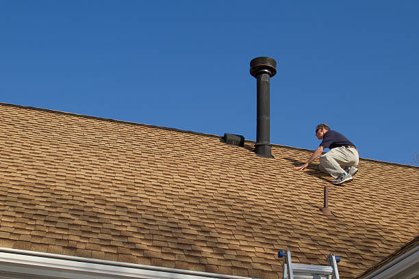 Best Roof Moss and Algae Removal  in Loudoun Lley Estates, VA