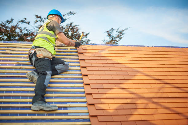 Best Solar Panel Roofing Installation  in Loudoun Lley Estates, VA
